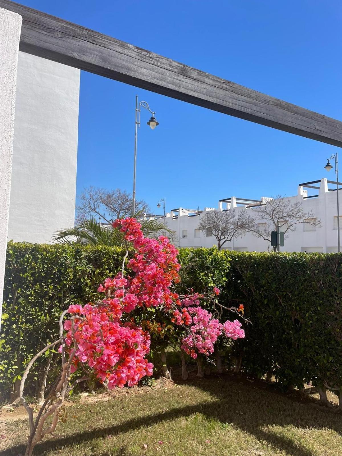 Casa Luisa Jardin 10 Condado De Alhama Daire Alhama de Murcia Dış mekan fotoğraf